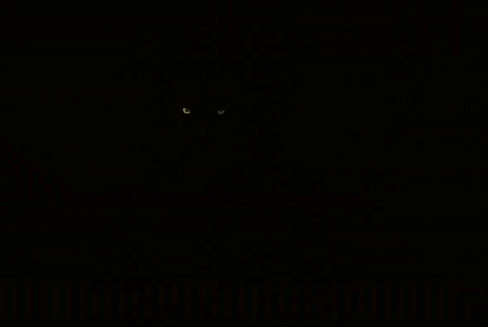 Kraven⭑ 👁️'s banner