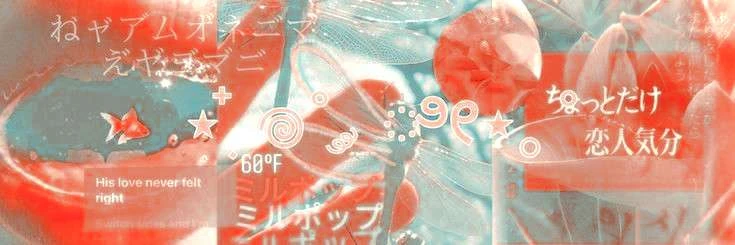 ❀            ◠      LACED HEARTS𓈒
     𖥔 ࣪'s banner