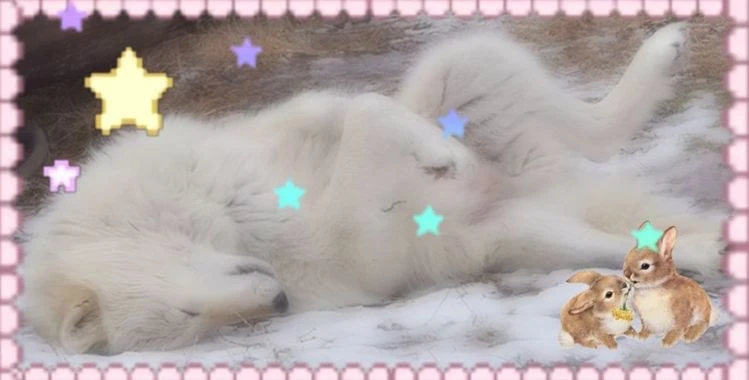 skittles's banner