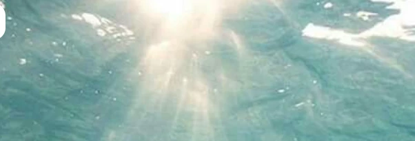 Angel's banner