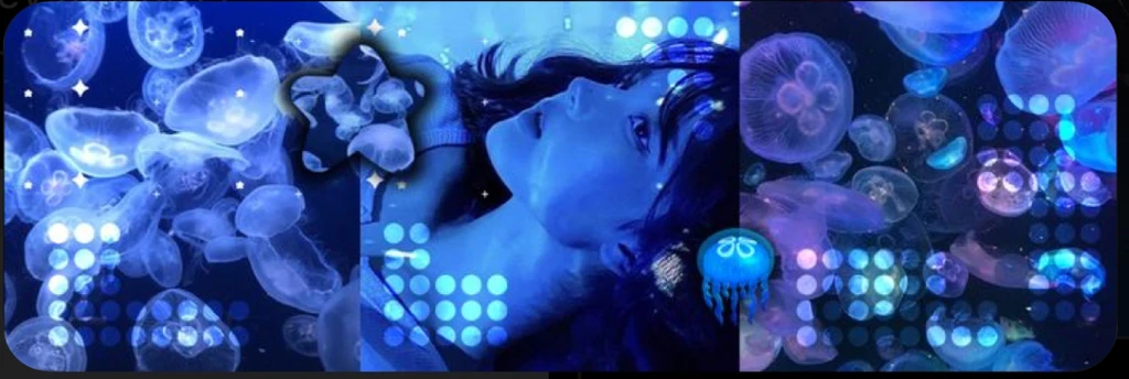 Versi's banner