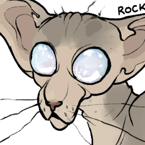 rock's avatar