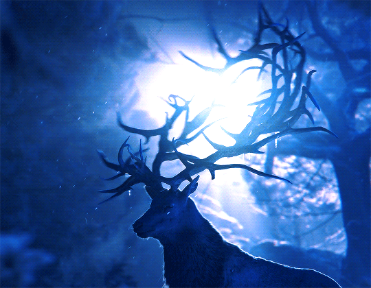 Lord Lyonel Baratheon's banner