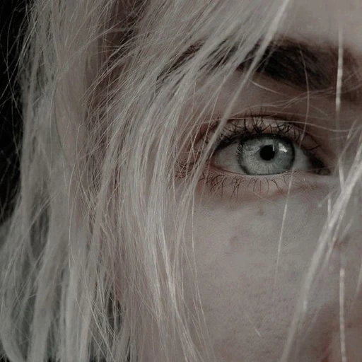 creature's avatar