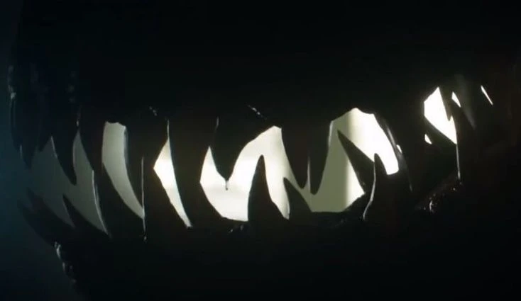 si / callie it/paw's banner