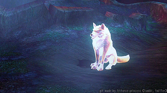 Wolf's banner
