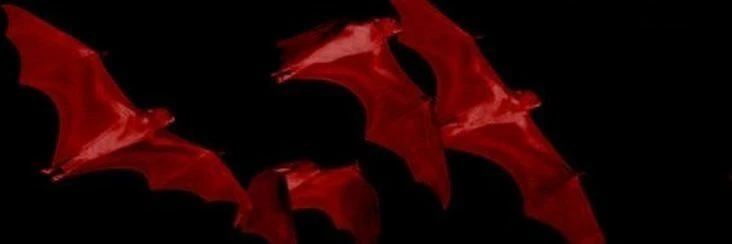 # . dpr ian / christian 𓂃 ♥︎ they he zir it's banner