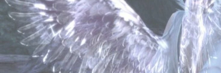 Raguel's banner