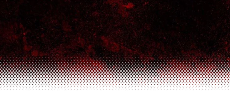 ✿    chris    𖹭    .    he they vamp's banner