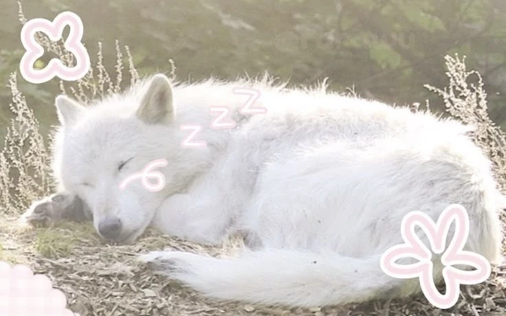 Blurry's banner