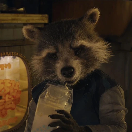 Rocket's avatar