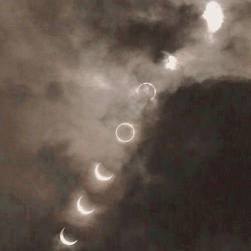 Mk (Mark)⭑ 🛠️'s banner