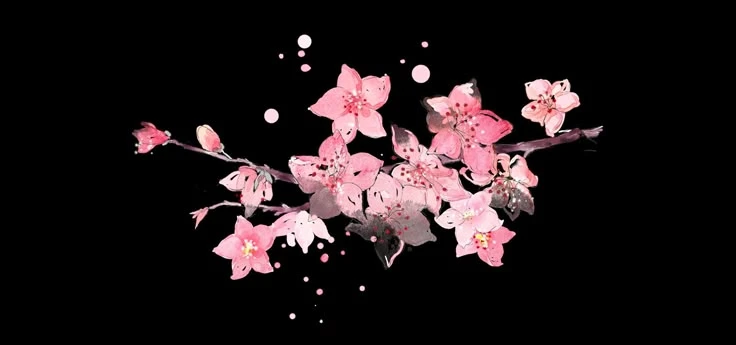 ✿    han    𖹭    .    she him luv zir's banner