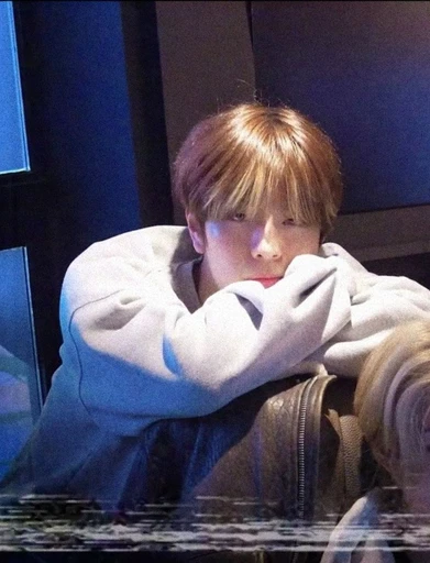 ✿    seungmin    𖹭    .    he they em's avatar