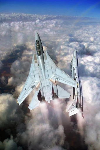 F-14's avatar