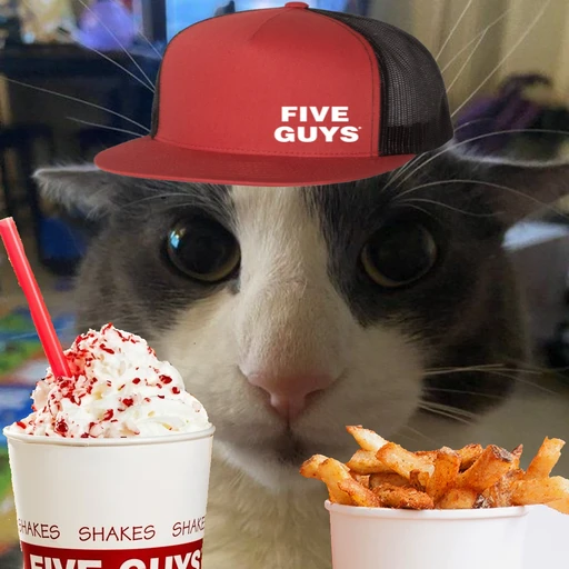 🍔 THE FIVE+ GUYS COLLECTIVE 🍟's avatar