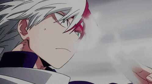 Shoto's banner
