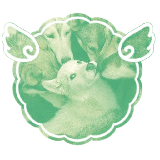 THE CAVITY COLLECTIVE 🦷's avatar