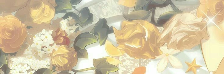 ✿    hanji / sungie / hannie    𖹭    .    they he's banner