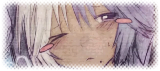 𓏼    Gemini ₊    ♡'s banner