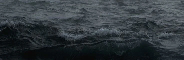 lorelei's banner