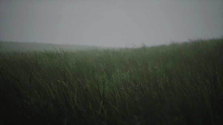 jane's banner