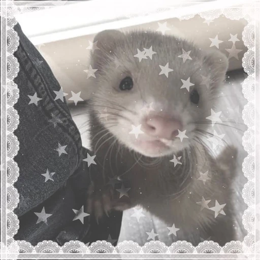 Greyson 💚's avatar