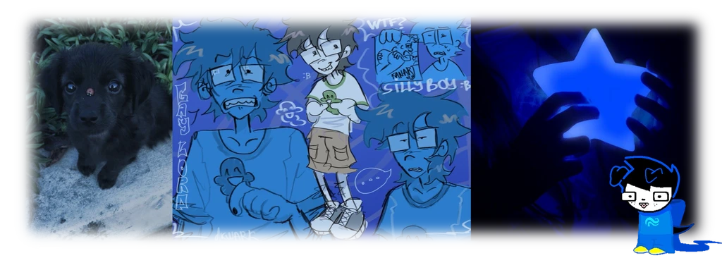 john's banner