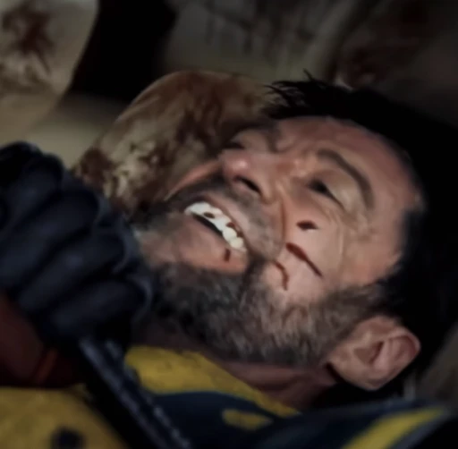 Wolverine⭑ 🍻's avatar