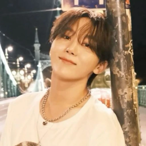 ✿    seungkwan    𖹭    .    he they's avatar