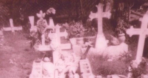 yvonne's banner