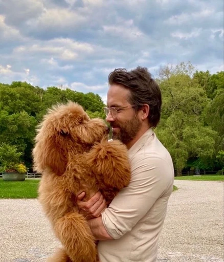 *Calvin!•{He/It/If}^'s avatar