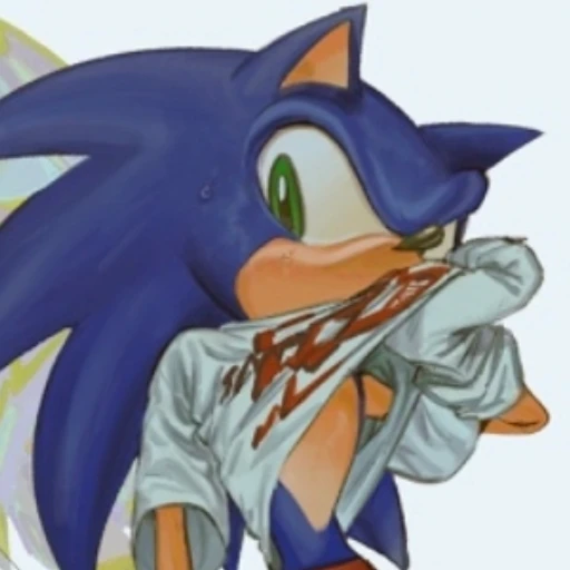 Sonic  ⊹  ꒱꒱  (💽)  He's avatar