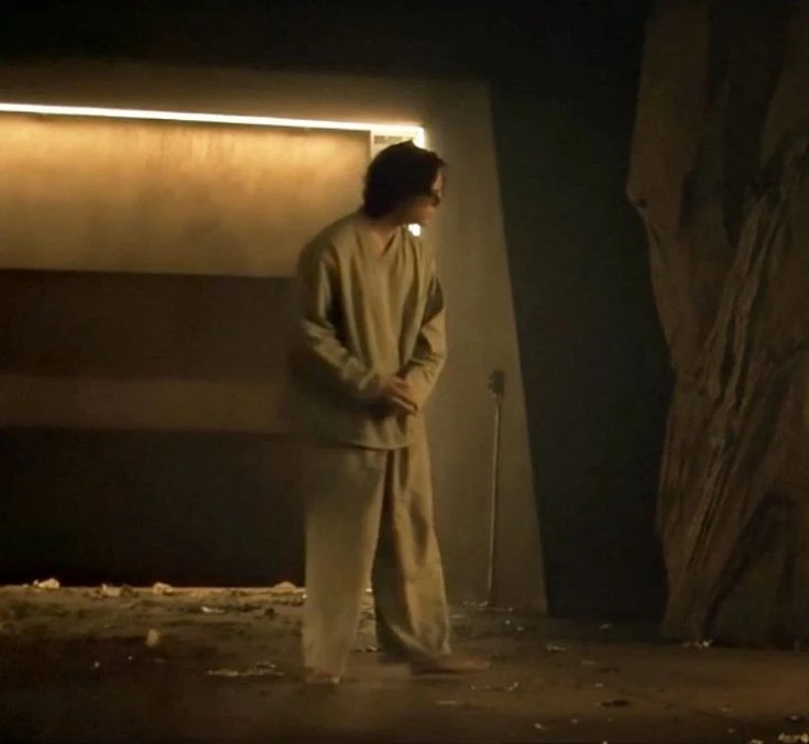 Struan⭑ 🦈's banner