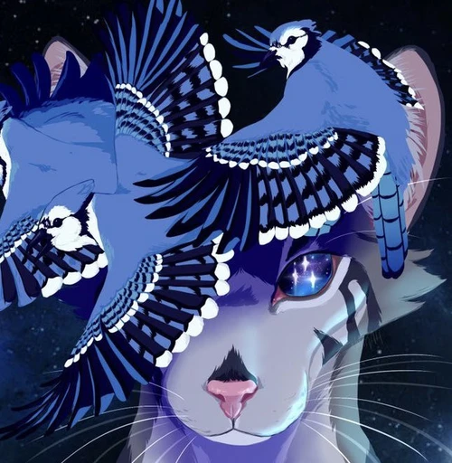 Jayfeather's avatar