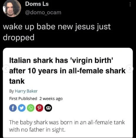 Sprout/Shilo/Loki's banner