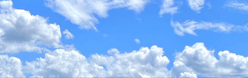vladi's banner