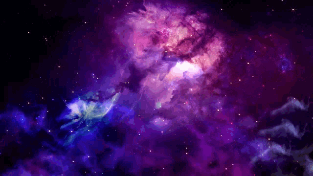 susie's banner