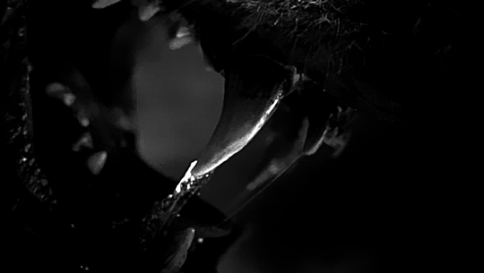 ⋆｡𖦹°‧★Regulus^Black☆He/Him ♡˖°.'s banner