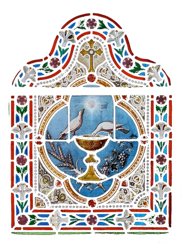 >  　The Web. 　 𖤓's avatar