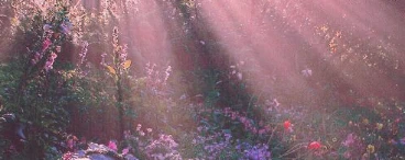 Xara's banner