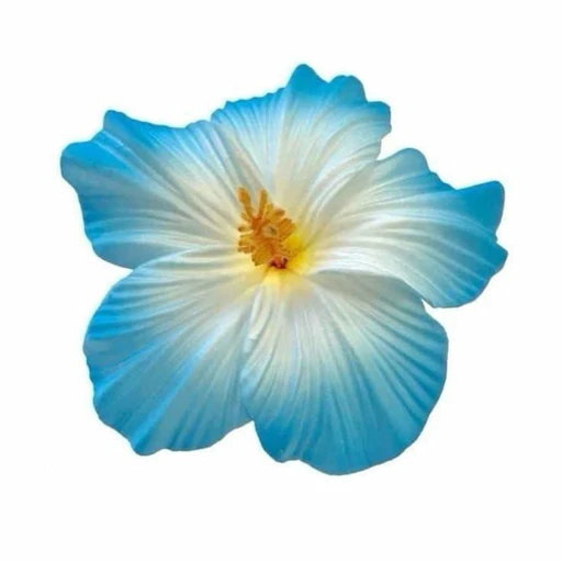 ceres's avatar