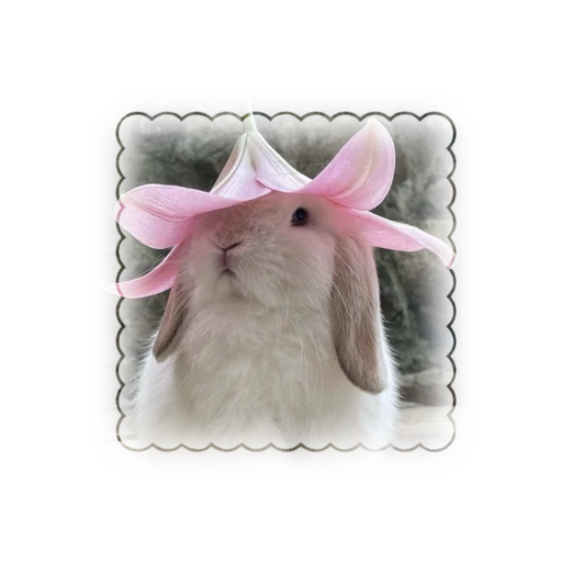Ი𐑼's avatar