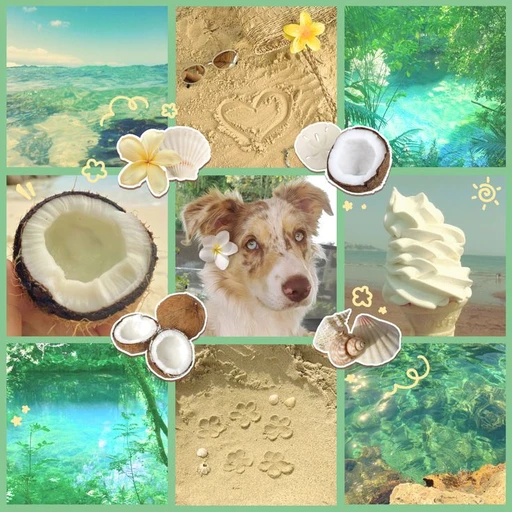 Collie's avatar