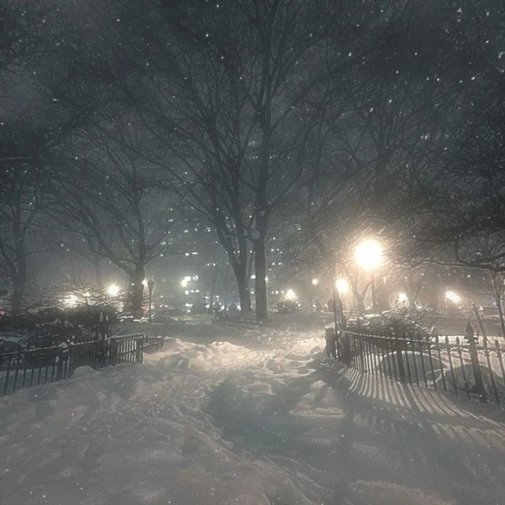 Areya⭑ 🪾's banner