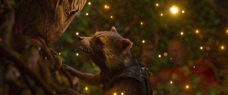 Groot⭑ 🌳's banner