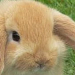 jess's avatar