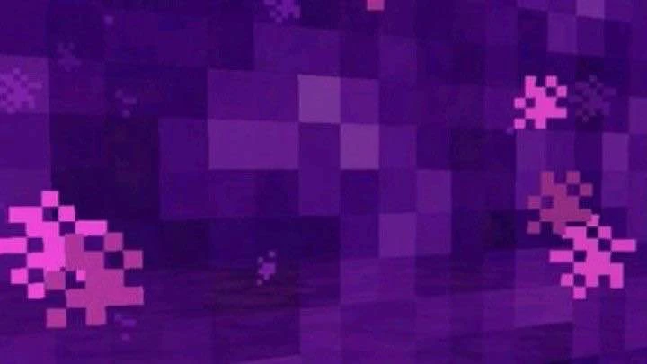 VERIS's banner