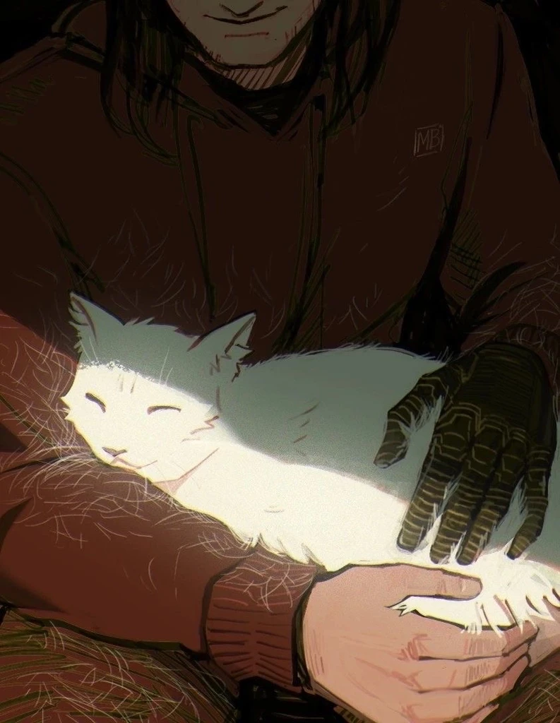 Grayson's banner