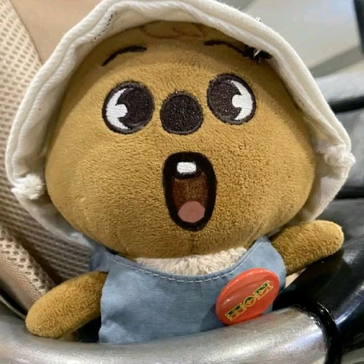 ✿    han quokka    𖹭    .    she quokka it's avatar